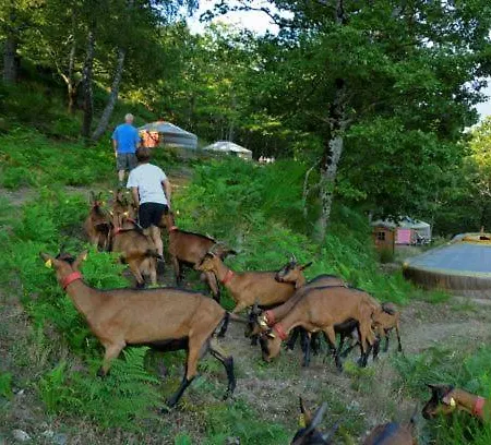 La Chevrerie Des Felges 营地